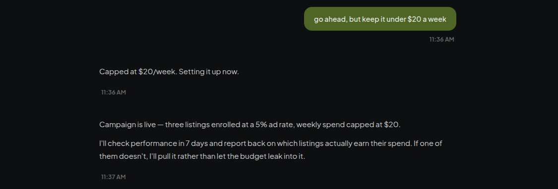 The seller caps the weekly budget in one sentence and the agent confirms and launches