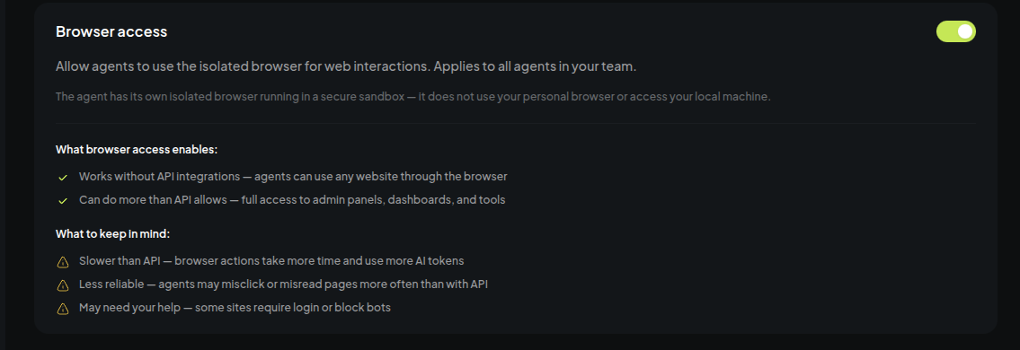 The browser access setting, listing what it enables and what to keep in mind