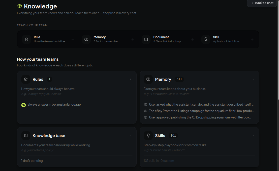 The knowledge page with rules, memory, knowledge base and skills