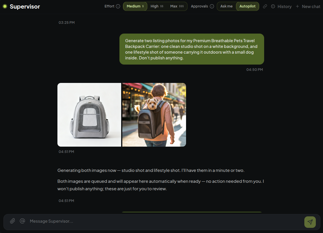 Chat request for two listing photos, with both images delivered in the conversation