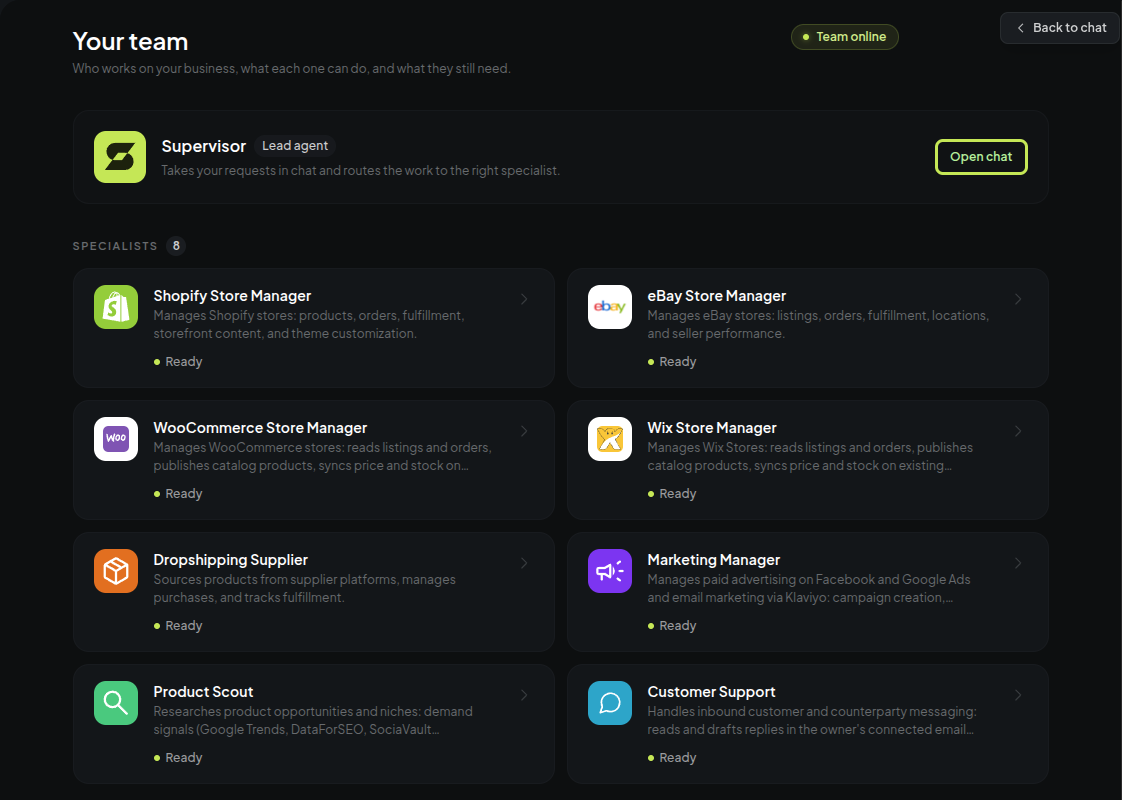 The team page: a Supervisor and the specialists under it, each with a role and a status